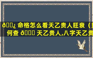 🌿 命格怎么看天乙贵人旺衰（如何查 🐟 天乙贵人,八字天乙贵人能起什么作用）